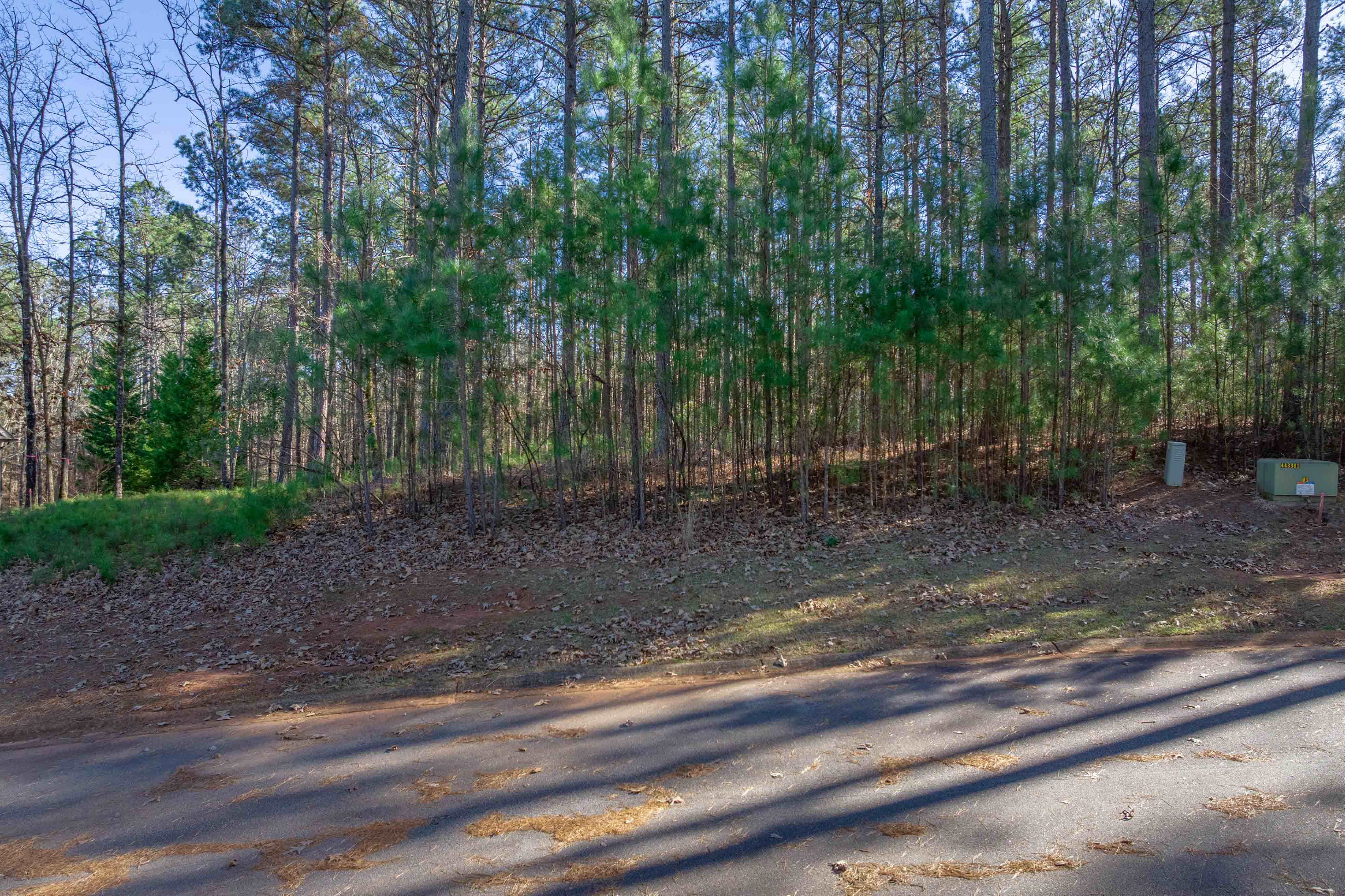 1030 Aker's Knoll image 3